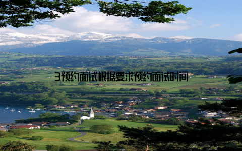 3预约面试根据要求预约面试时间