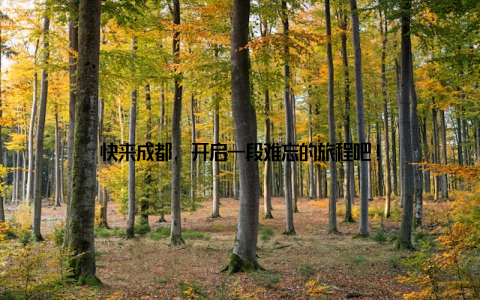 快来成都, 开启一段难忘的旅程吧!