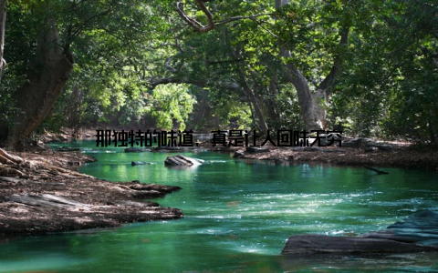 那独特的味道, 真是让人回味无穷