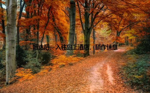 抵达后, 入住岛上酒店, 稍作休息