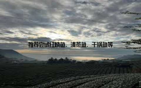 推荐尝试红烧鱼、清蒸鱼、干锅鱼等