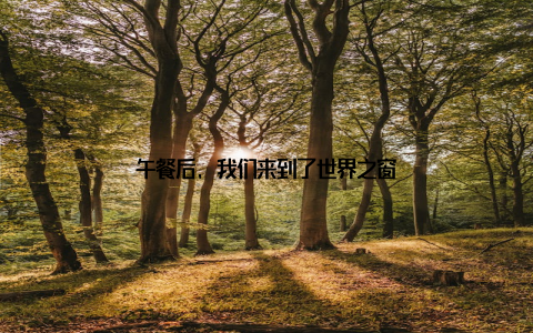 午餐后, 我们来到了世界之窗