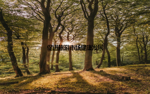 促进旅游市场健康发展