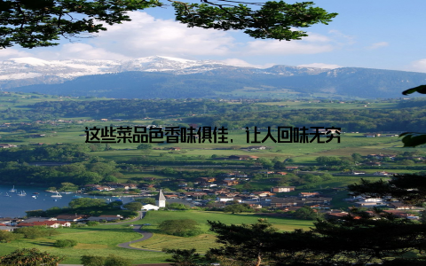 这些菜品色香味俱佳, 让人回味无穷