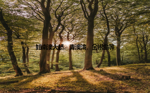 如南澳大桥、青澳湾、金银岛等