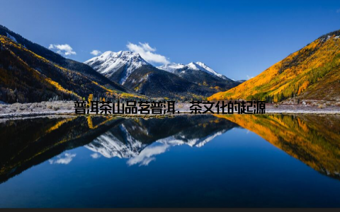 普洱茶山品茗普洱, 茶文化的起源