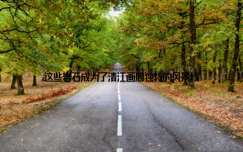 这些岩石成为了清江画廊独特的风景线