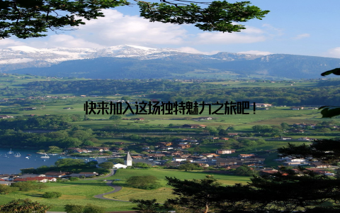 快来加入这场独特魅力之旅吧!