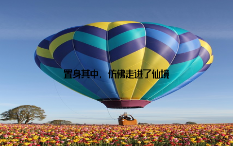 置身其中, 仿佛走进了仙境