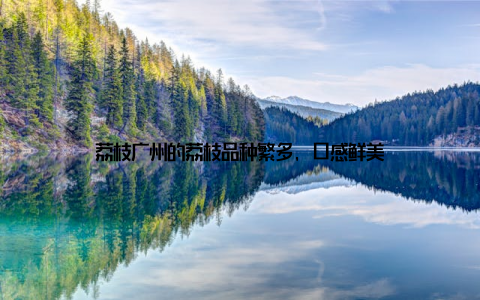 荔枝广州的荔枝品种繁多, 口感鲜美