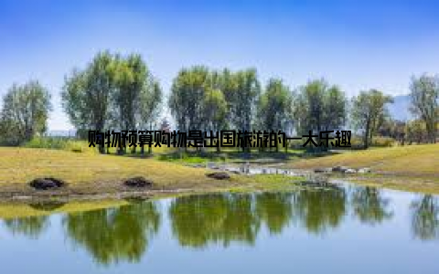 购物预算购物是出国旅游的一大乐趣