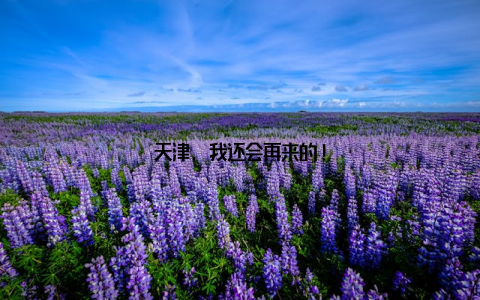 天津, 我还会再来的!