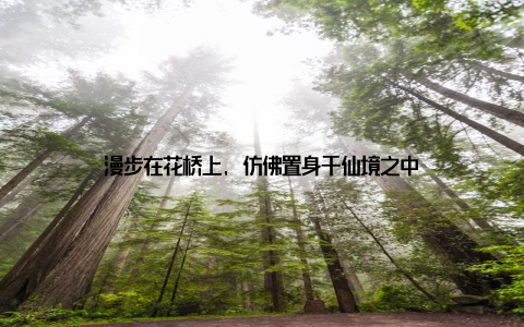 漫步在花桥上, 仿佛置身于仙境之中