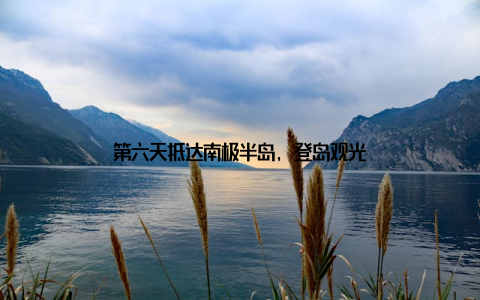 第六天抵达南极半岛, 登岛观光