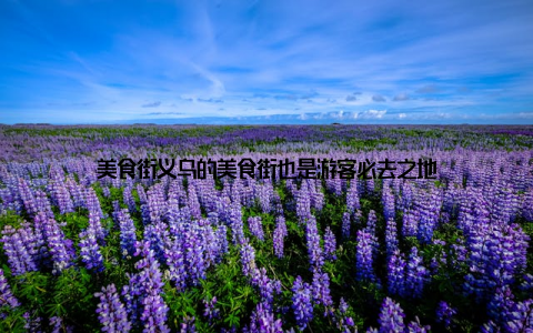 美食街义乌的美食街也是游客必去之地