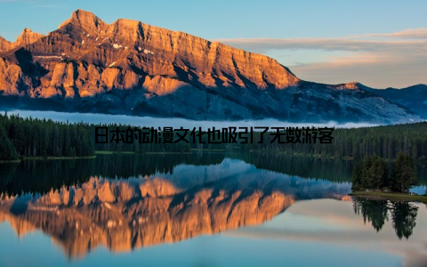 日本的动漫文化也吸引了无数游客