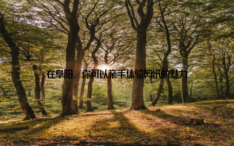 在阜阳, 你可以亲手体验剪纸的魅力