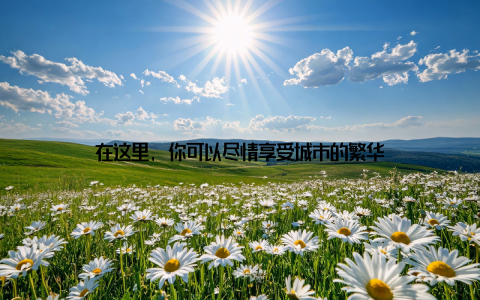 在这里, 你可以尽情享受城市的繁华