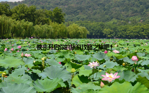 快来开启你的旅游攻略之旅吧!