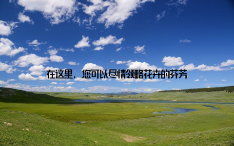 在这里, 您可以尽情领略花卉的芬芳