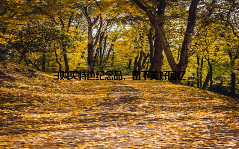 3购买特色纪念品, 留下美好回忆