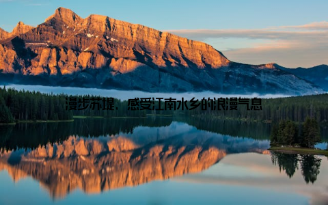 漫步苏堤, 感受江南水乡的浪漫气息