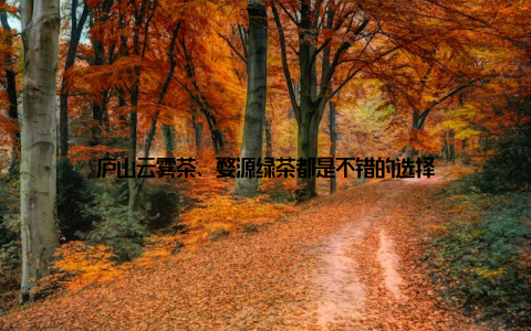庐山云雾茶、婺源绿茶都是不错的选择