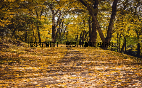 漫步在城墙上, 感受古都的历史沧桑