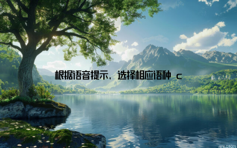 根据语音提示, 选择相应语种 c