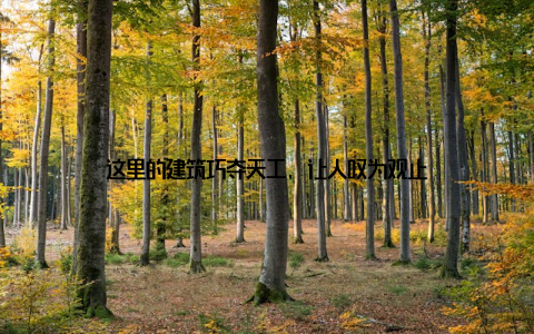 这里的建筑巧夺天工, 让人叹为观止