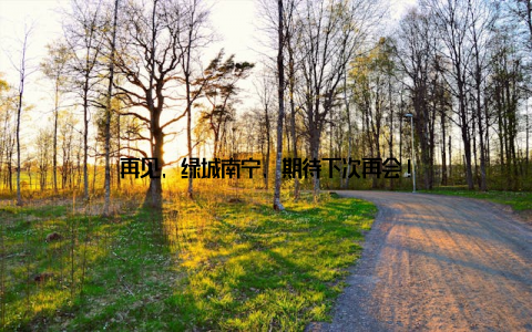 再见, 绿城南宁, 期待下次再会!