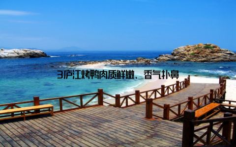 3庐江烤鸭肉质鲜嫩, 香气扑鼻