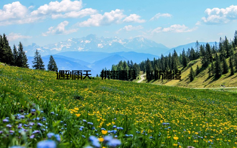 遇到雨天, 携带雨具, 以防淋湿