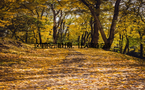 这里的云海壮丽, 让人流连忘返