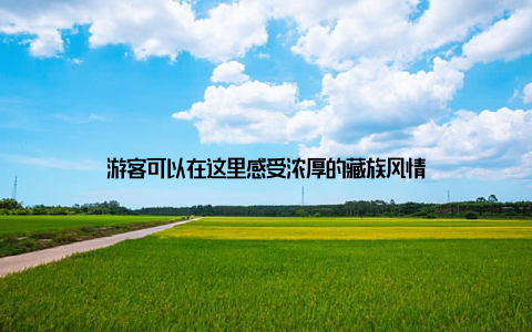 游客可以在这里感受浓厚的藏族风情