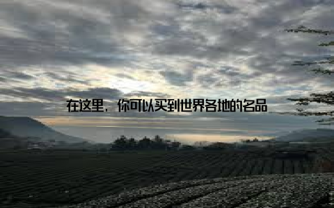 在这里, 你可以买到世界各地的名品