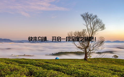 快来乌镇, 开启一段深度之旅吧!