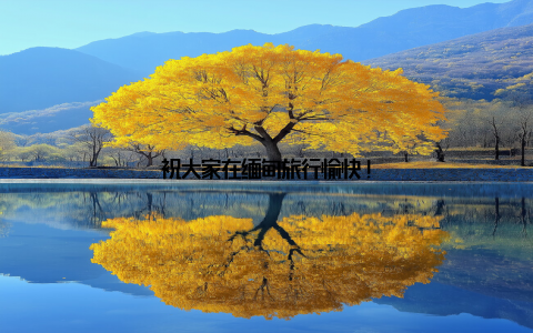 祝大家在缅甸旅行愉快!