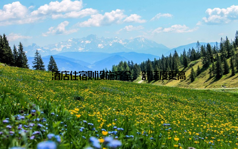 酒店住宿则设施齐全, 舒适度更高