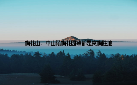 梅花山、中山陵梅花园等都是赏梅胜地