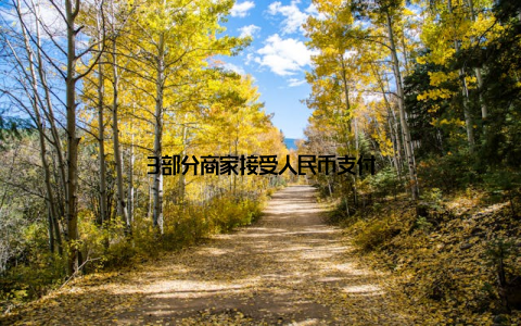 3部分商家接受人民币支付